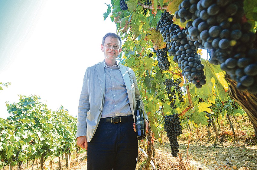 U Srbiji je 2016. podignuto 40 hektara novih vinograda, a dr Dragoslav Ivanišević kaže da se sve više traže domaće sorte