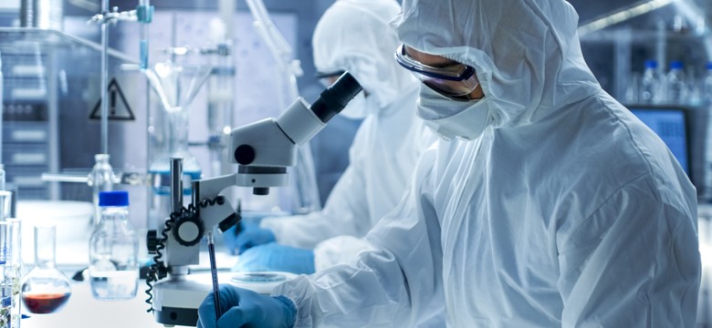 Chińscy naukowcy wyhodowali świńskie embriony z ludzkimi nerkami