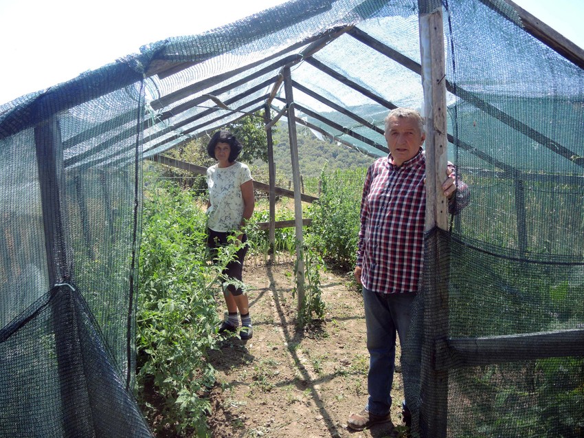 Supruga Mira je Milijanu desna ruka