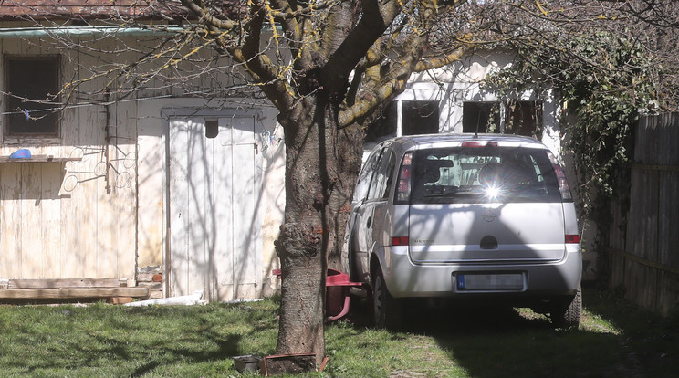 A kiskamasz a nyitott ajtóval
a fának nyomta anyját, majd nekiment
még egy fának, végül pedig a garázsajtónak /Fotó: Weber Zsolt