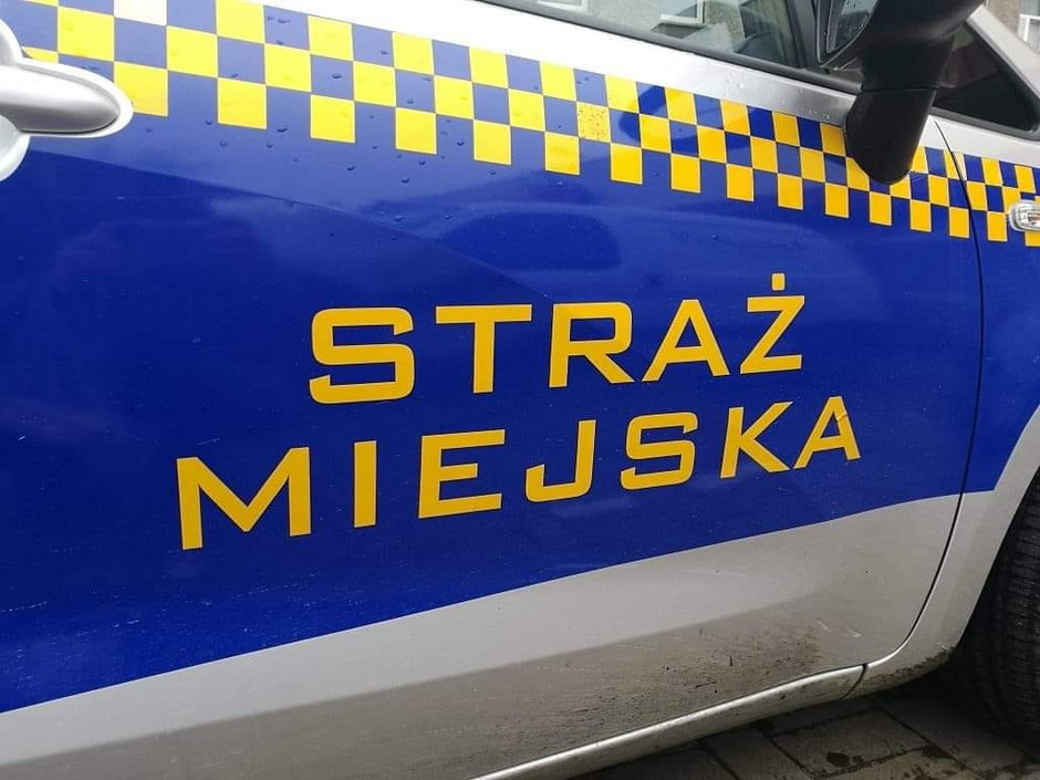 straż miejska, radiowóz,