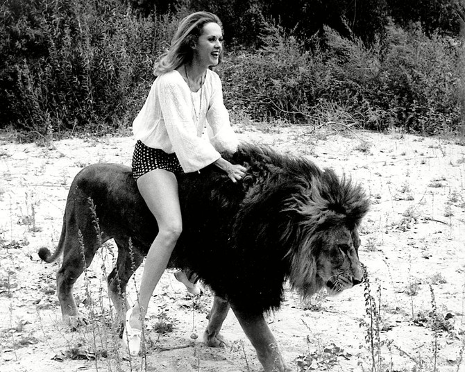 Tipi Hedren i lavovi 