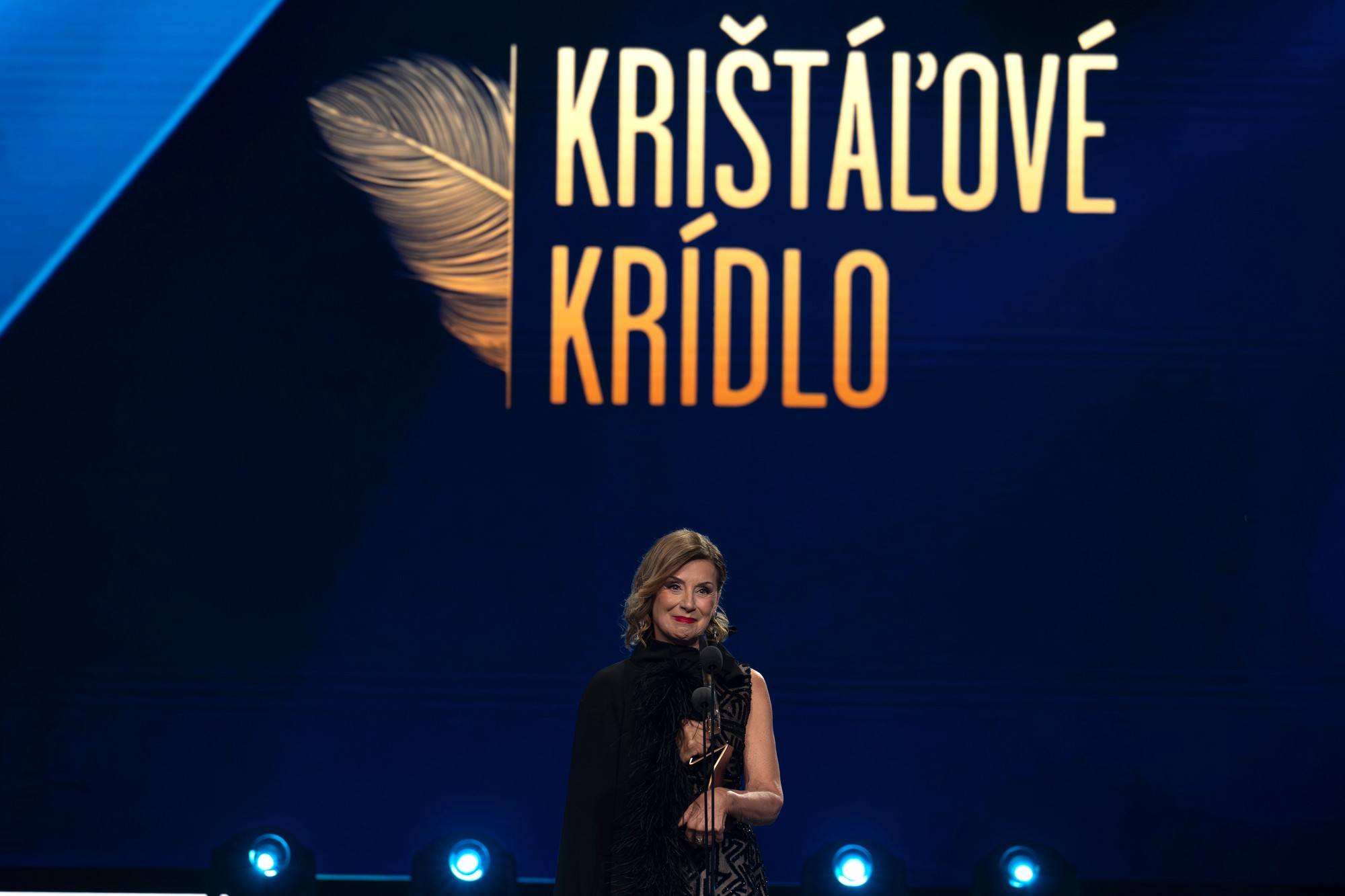 Krištáľové krídlo 2025 pozná svojich laureátov. 