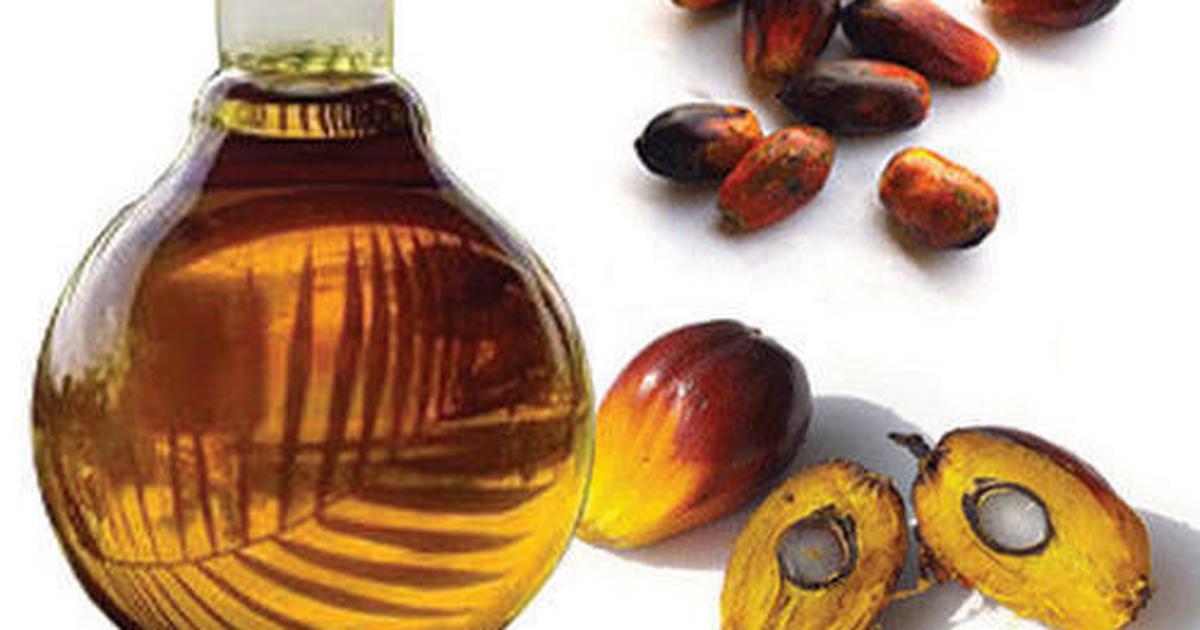 Homemade palm kernel oil/ how to make clear organic palm kernel oil/ how to  diy palm kernel oil 