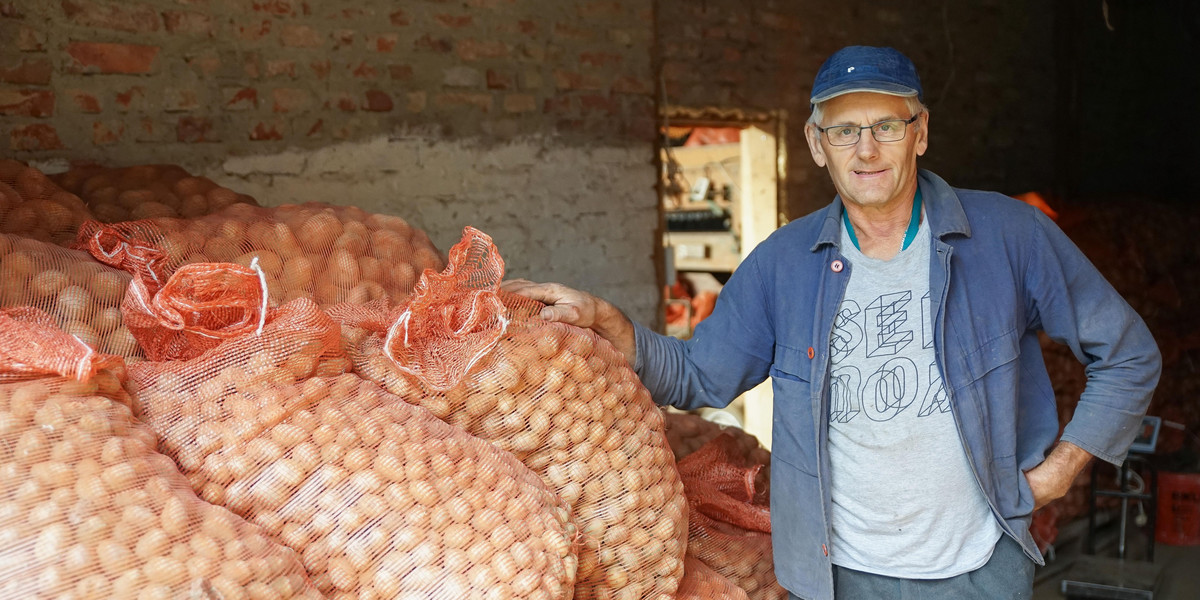 Spekulacje na ziemniakach. Rolnik: Tak śrubują ceny