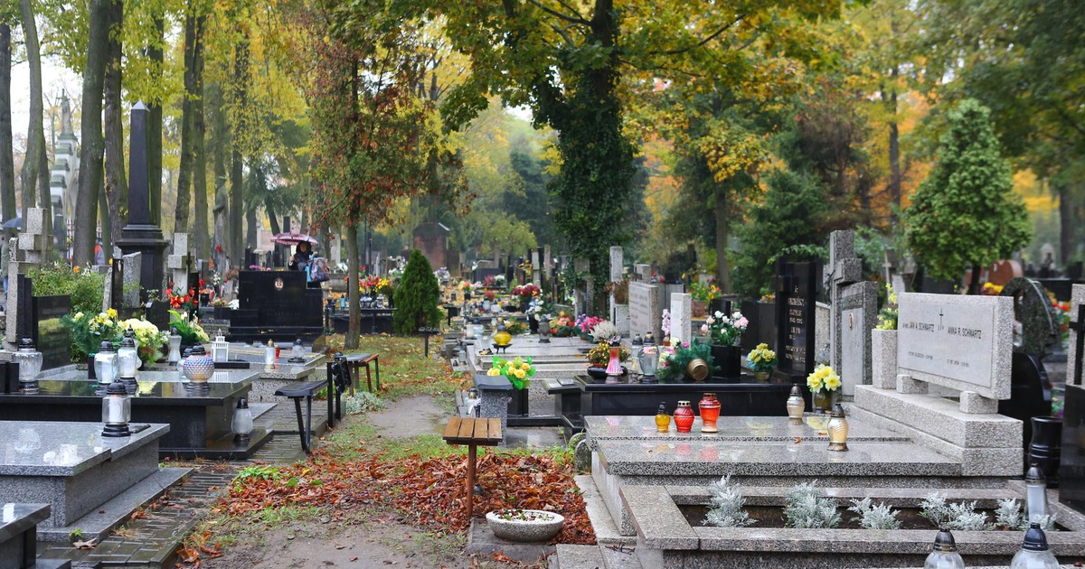 Produkt z apteczki, który wyczyści pomnik nagrobny. Zielony nalot i mech błyskawicznie znikają