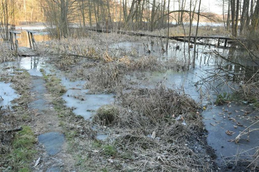 Bagno wessało pana Witolda!