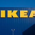 IKEA rusza ze sprzedażą tęczowej torby. Środki ze sprzedaży przeznaczy na specjalny cel