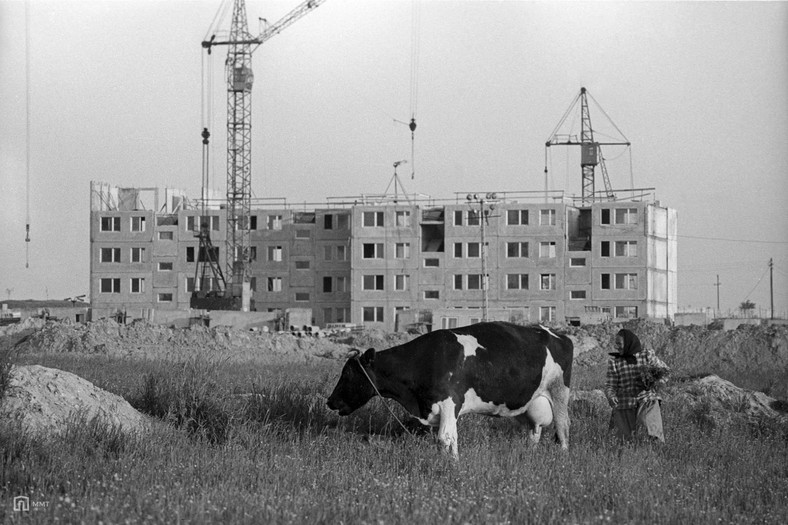 Montaż budynku mieszkalnego na tyskim osiedlu K w 1977 roku