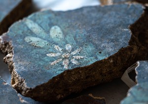 Rimske freske otkrivaju veličanstvene detalje poput ove bele rade | Foto: Tony Jolliffe/BBC News