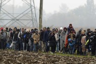 Migrants in Slovenia