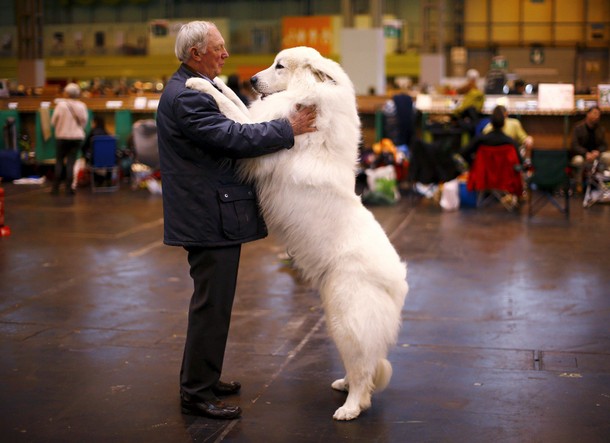 BRITAIN-CRUFTS/