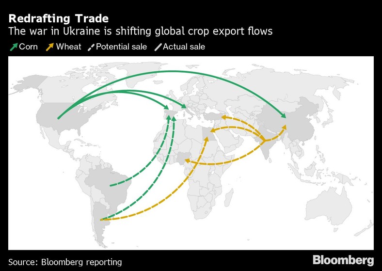 Wojna w Ukrainie zmienia globalne przepływy eksportu upraw