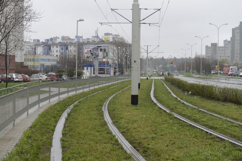 Tory tramwajowe na Kozanowie