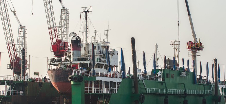 Prezes PGZ: Jeśli wydaje się pieniądze, to trzeba mieć plan na ich odzyskanie [ROZMOWA]