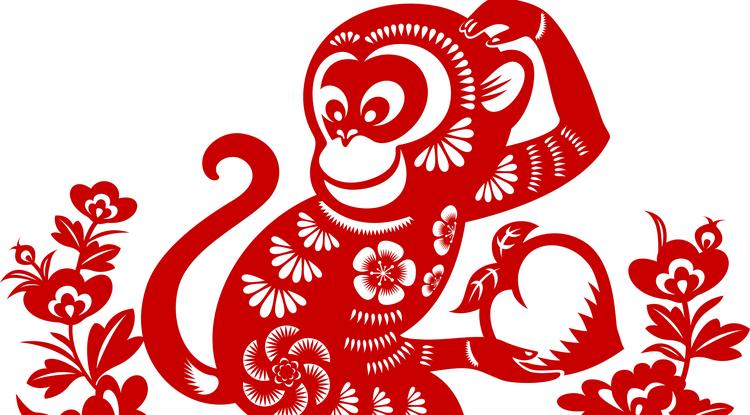 Izgalmas május vár a kínai horoszkóp szerint a Majmokra Fotó: Getty Images