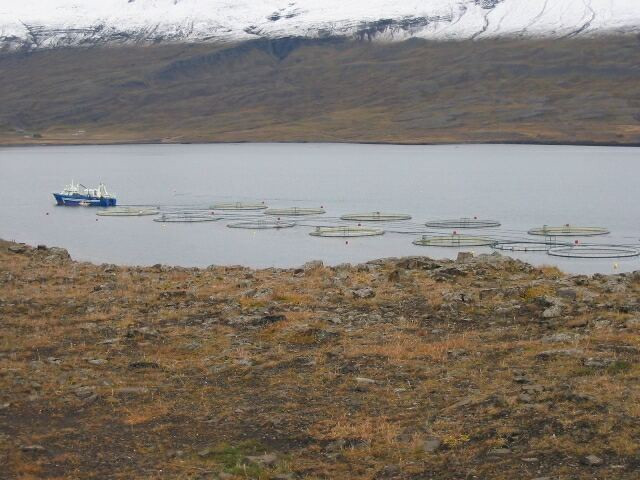 Galeria Islandia cz. II, obrazek 43