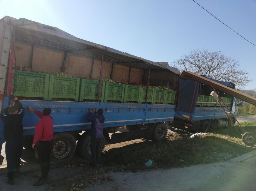 Gazdinstvo Ignjatović