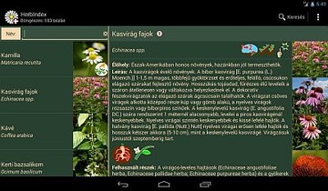 herbindex-kis-d0000190263131debd13d