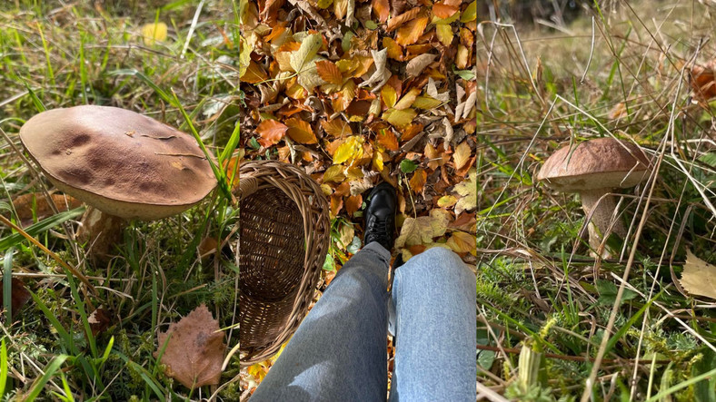 Pierwsze piękne okazy na mojej drodze 