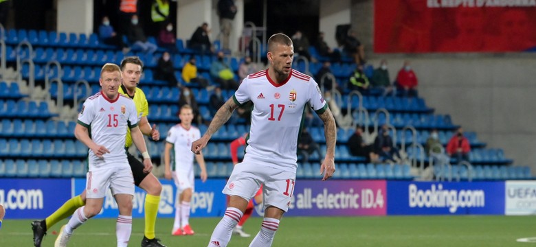 Roland Varga nowym napastnikiem Bruk-Bet Termaliki Nieciecza