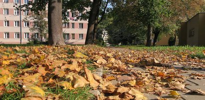 Nie będziesz musiał już dbać o czystość chodnika