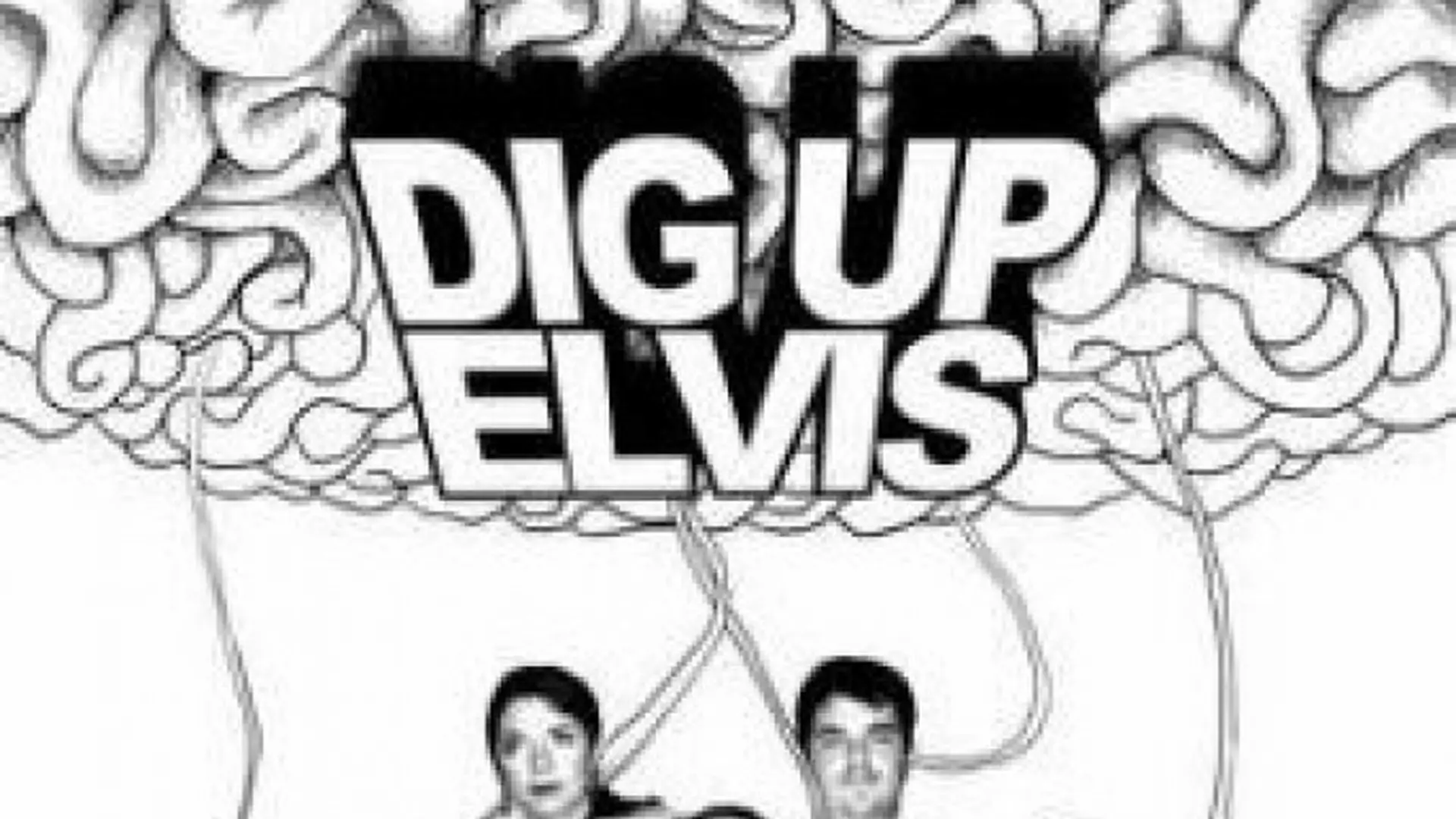 Dig Up Elvis - Albumy fanów
