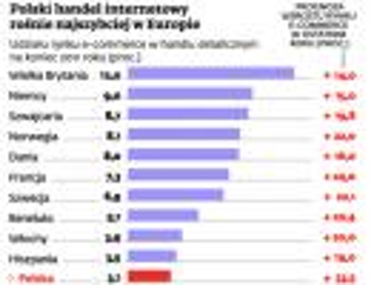 Polski handel internetowy rośnie najszybciej w Europie