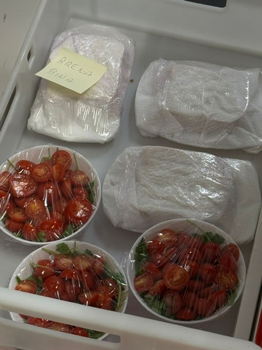 Brenine "odaje" pred koncert