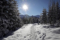 IMiGW ostrzega przed zawiejami i gołoledzią
