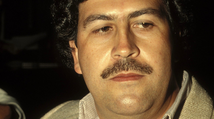 Pablo Escobar / Fotó: Profimedia