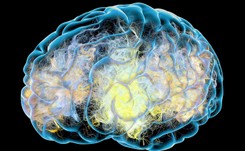 Zbyt późno rozpoznajemy chorobę Alzheimera. Dopiero po 24 miesiącach