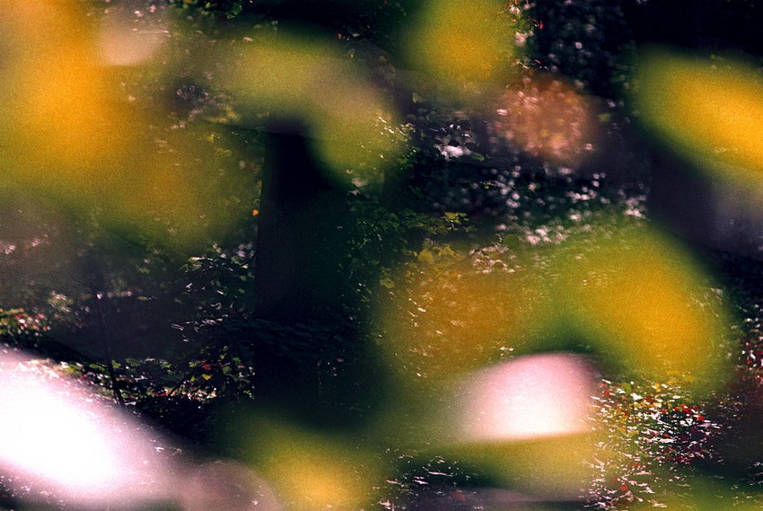 Na izložbi će biti predstavljeno 20 odabranih radova