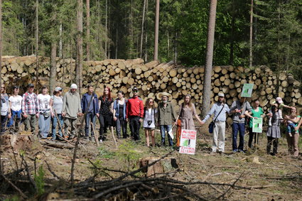 UNESCO wzywa rząd do zaprzestania wycinania Puszczy Białowieskiej