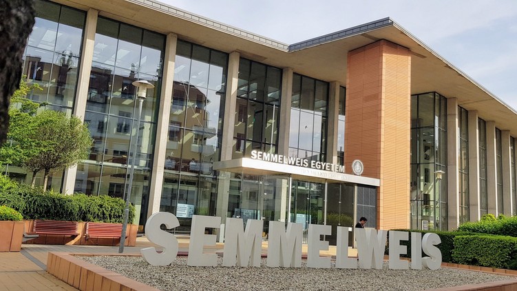 Semmelweis Egyetem szakterületi rangsor