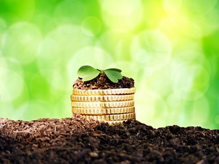 NFOŚiGW: Zielone gminy mogą liczyć na wsparcie