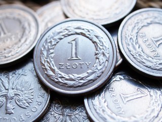 Złoty umocnił się wobec euro. Stracił względem dolara i franka szwajcarskiego