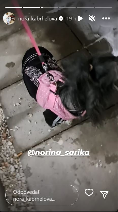 Na plese nechýbala ani fenka Šarika. 