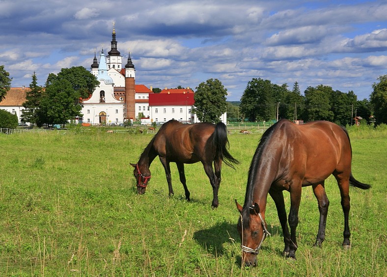 Supraśl