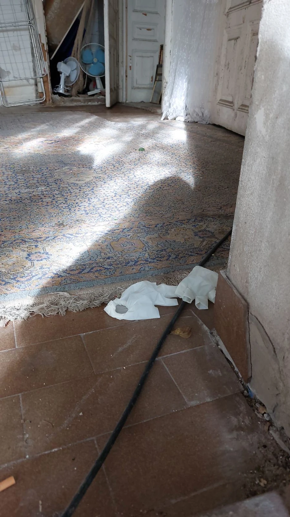 Prve slike sa mesta ubistva u Novom Sadu