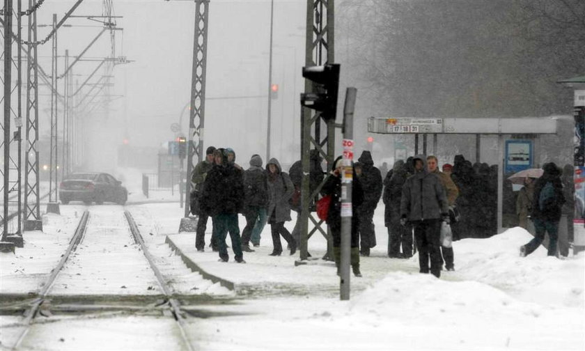 Śnieg sparaliżował miasto