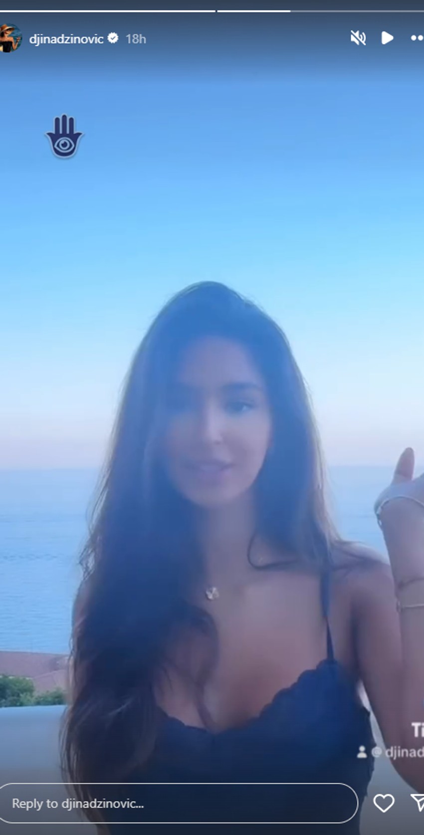 Đina Džinović, objava