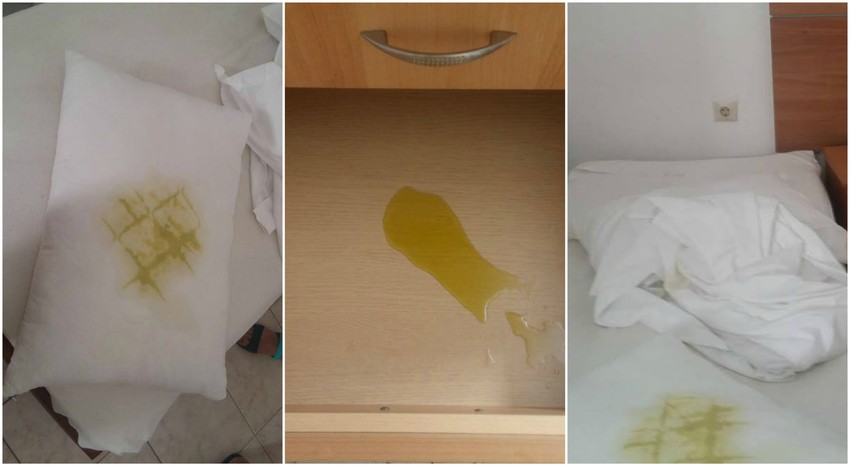 Maslinovo ulje po celom apartmanu