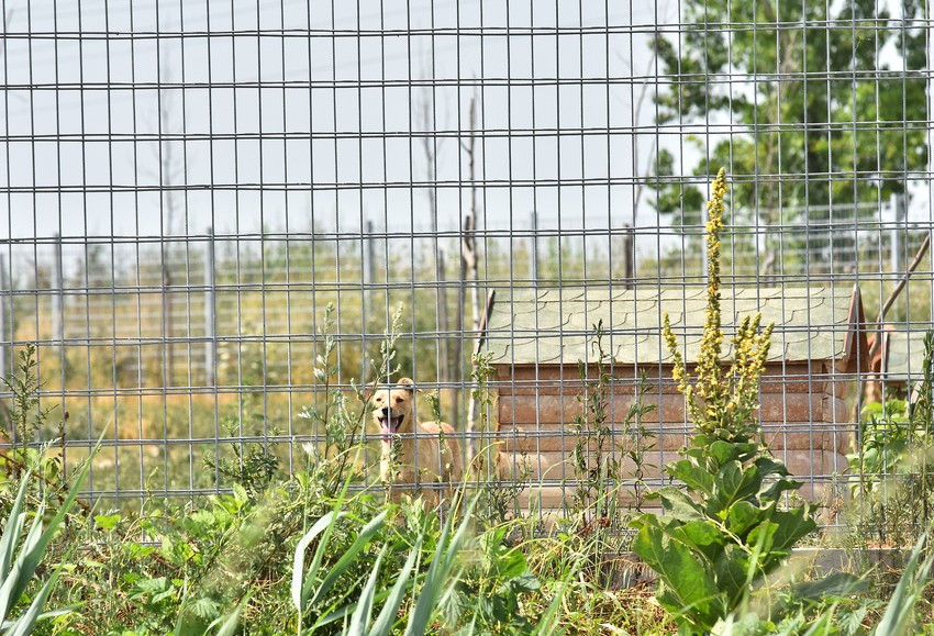 Kvadrat pansiona skuplji od Beograda na vodi