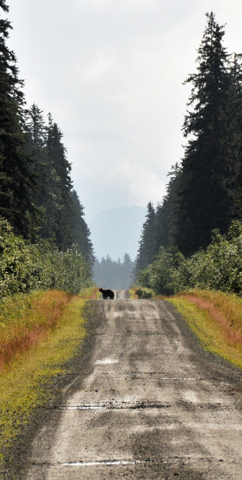 Park Narodowy Wrangla-Świętego Eliasza