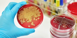 Niepokojące wieści o bakteriach. Może zabraknąć leków na groźne choroby
