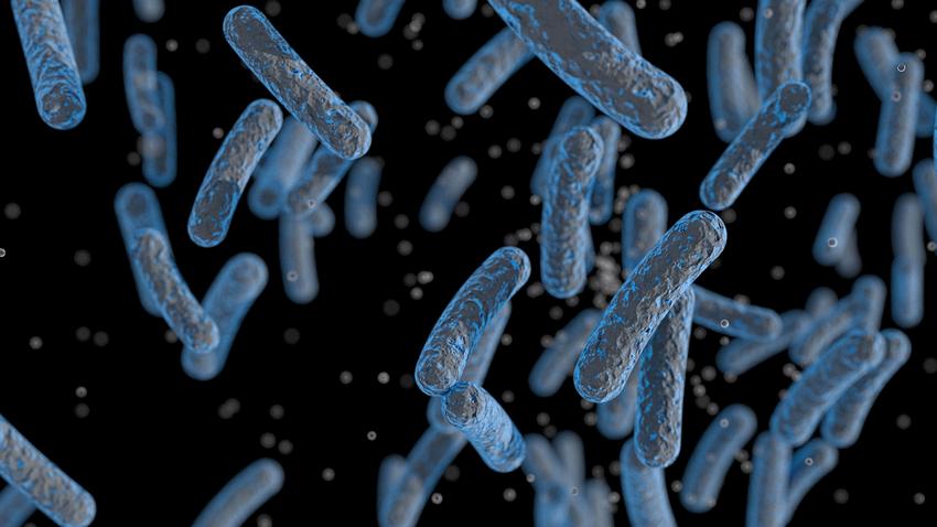 gyomorrák  gyors, agresszív Helicobacter pylori baktérium vizsgálat