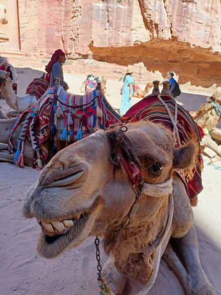 Petra