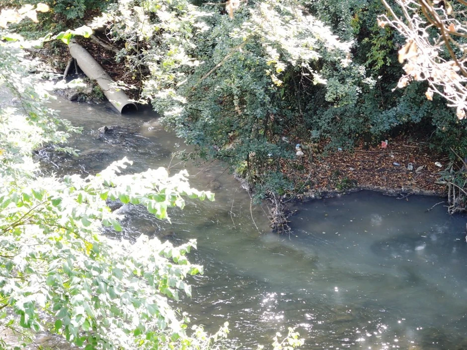 Zbog suše se problem pogoršao