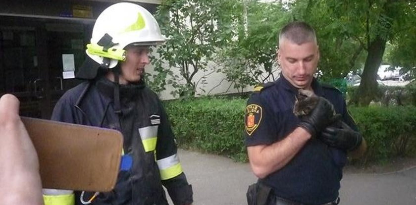 Strażnicy ocalili małego kotka